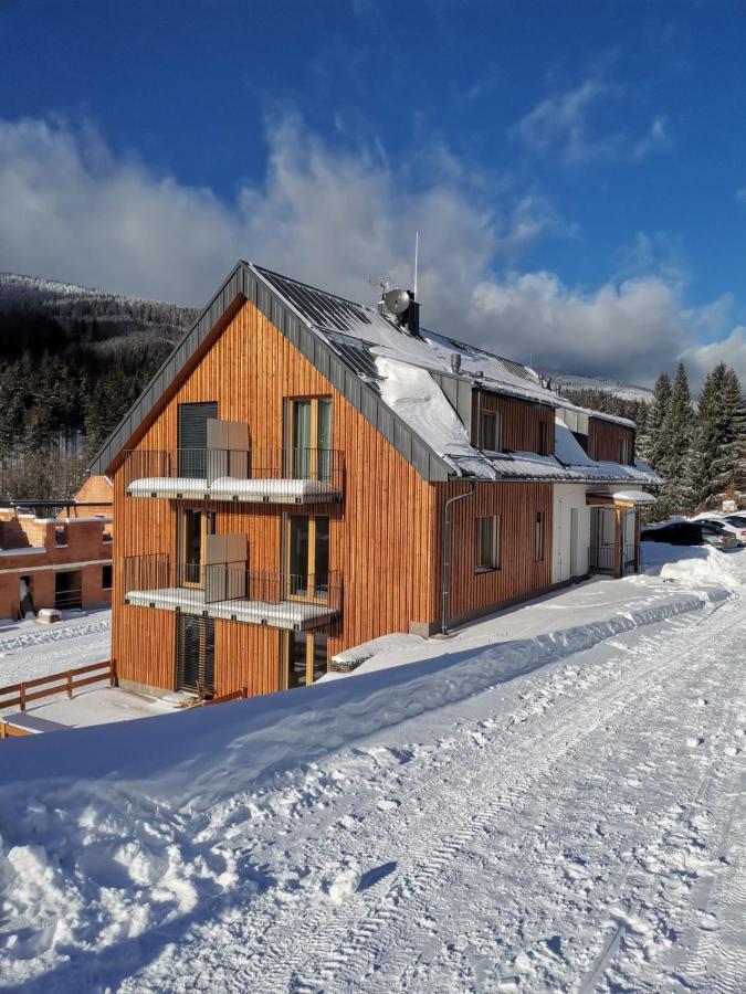 Apartman Pod Sjezdovkami Dolni Morava Exterior photo